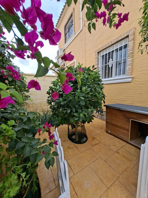 Недвижимость на продажу и в аренду в Испании photo 3