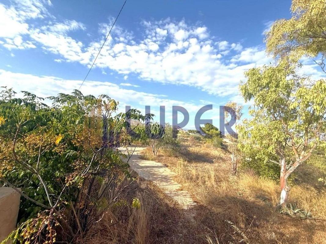 Sale of rural property in Finca rústica en Villamontes-Boqueres, San Vicente del Raspeig , San Vicente del Raspeig photo 5