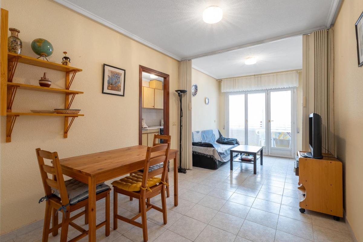 Apartamentos, Торревьеха
photo 2