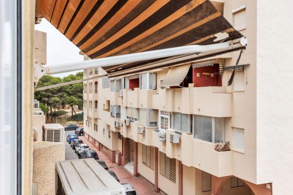 Apartamentos, Guardamar del Segura
photo 1