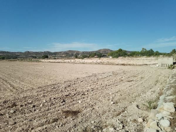 Terreno en Novelda photo 1