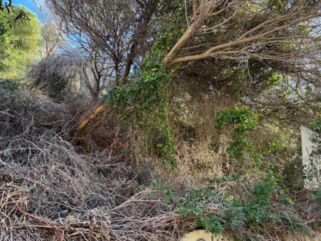 Land for sale in Benitachell, Alicante photo 5