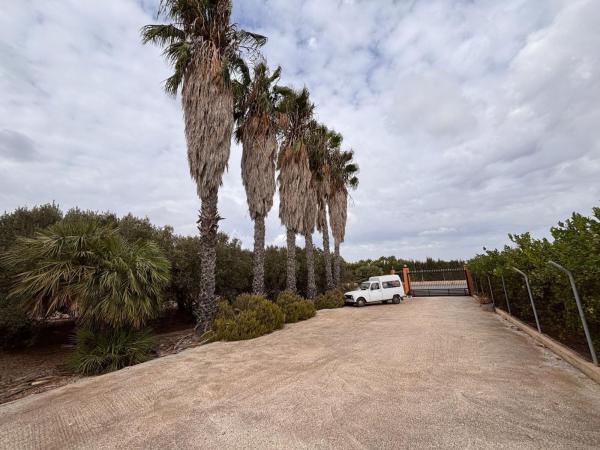 Casa o chalet independiente en La Hoya-Daimes-El Derramador, Elche / Elx photo 4
