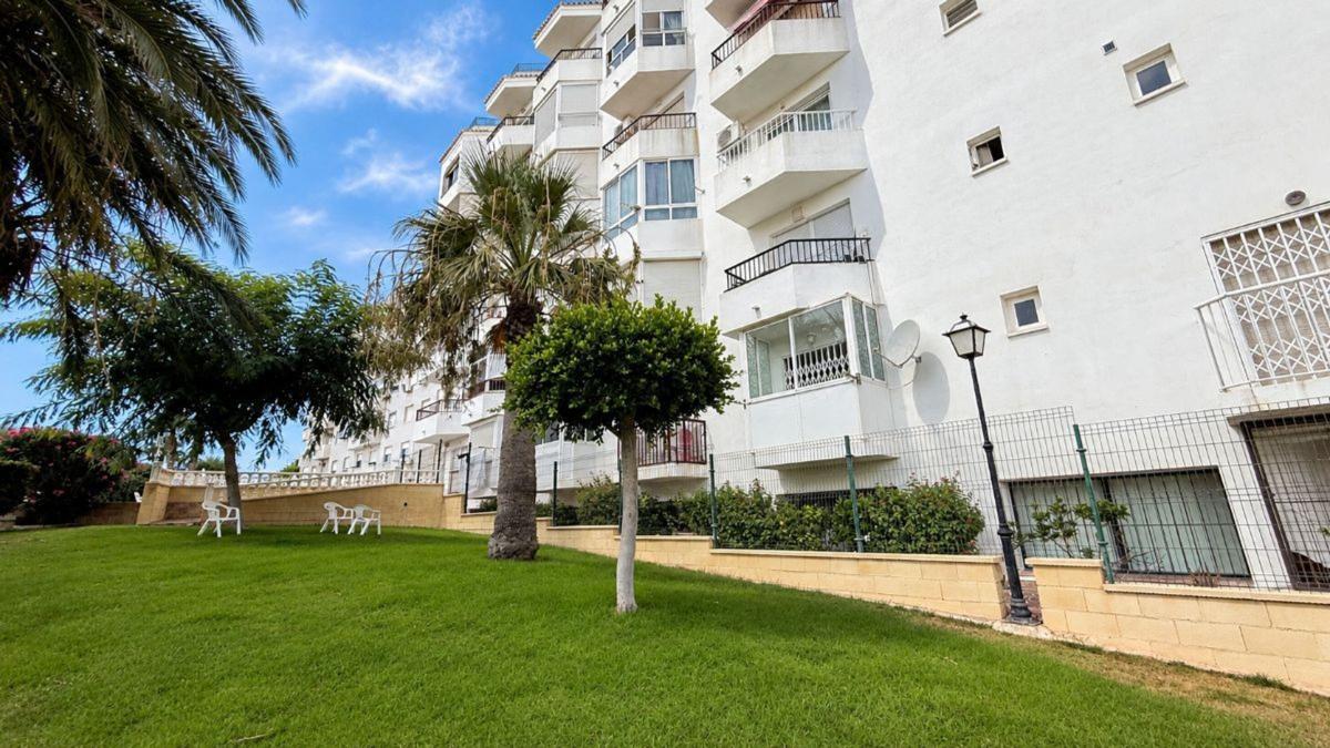 Venta de estudio en Estudio en Calle Aquiles, Torreblanca, Torrevieja, Torrevieja photo 5