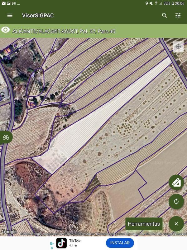 Land for sale in August, Alicante photo 5