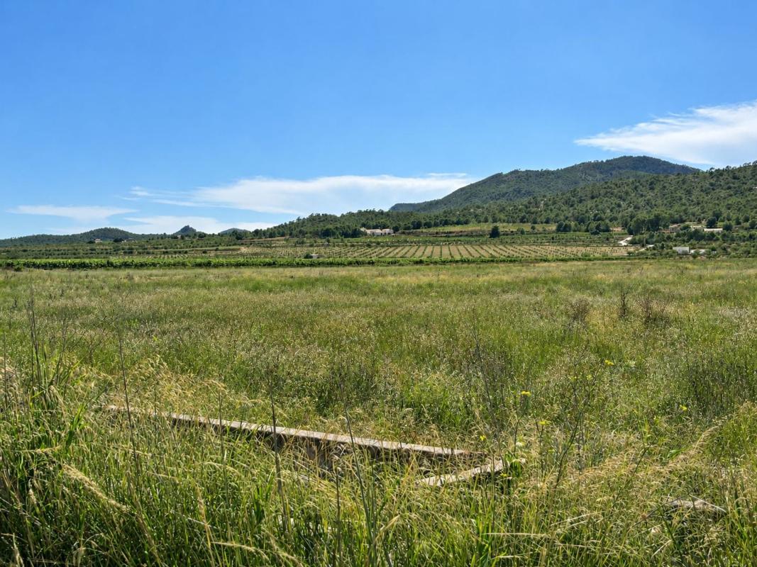 Terreno en venta en Salinas, Alicante photo 1
