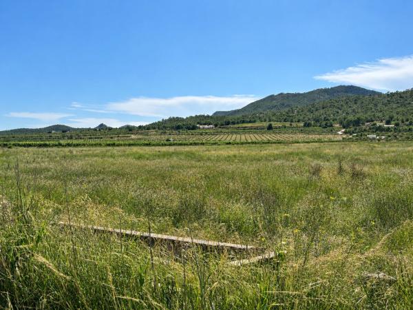 Terreno en Camino de la Barquilla, 03638 Salinas, Alicante, España, km 2, Salinas photo 1
