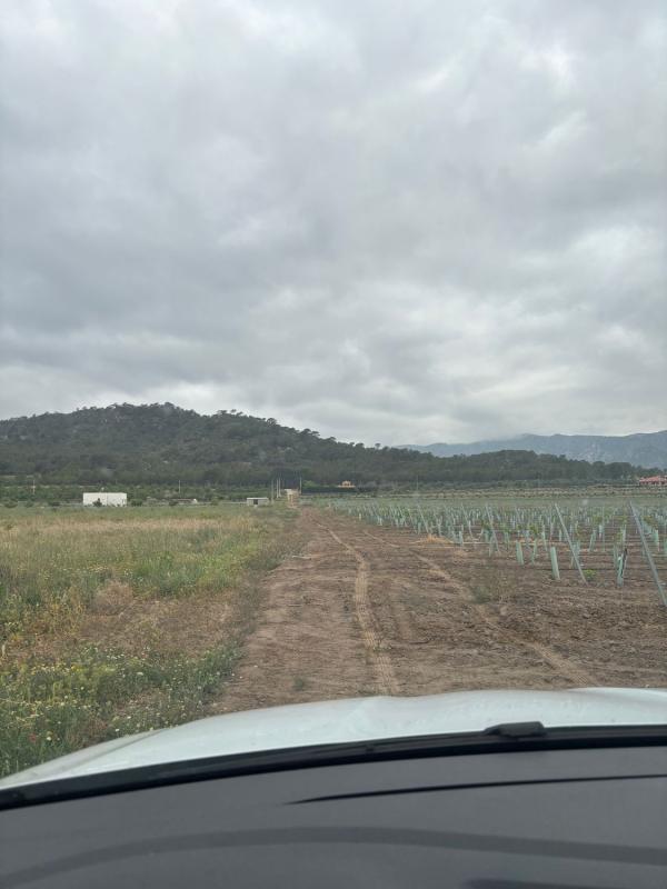 Terreno en venta en Salinas, Alicante photo 2