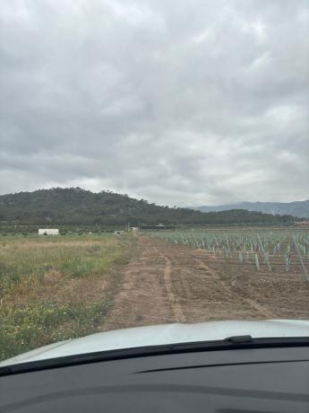 Terreno en Camino de la Barquilla, 03638 Salinas, Alicante, España, km 2, Salinas photo 2