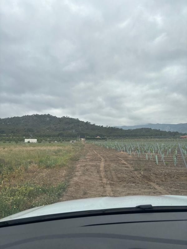 Terreno en venta en Salinas, Alicante photo 3