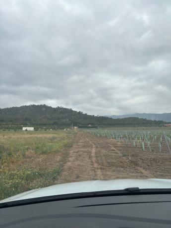 Terreno en Camino de la Barquilla, 03638 Salinas, Alicante, España, km 2, Salinas photo 3