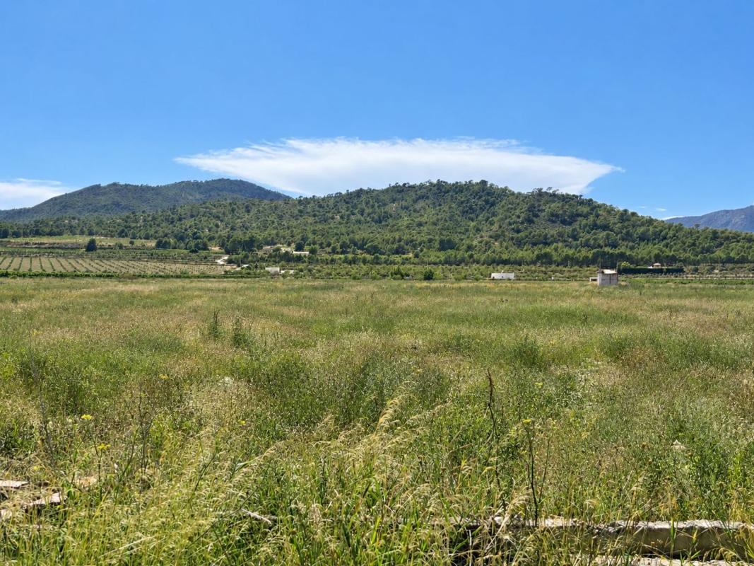 Terreno en venta en Salinas, Alicante photo 4