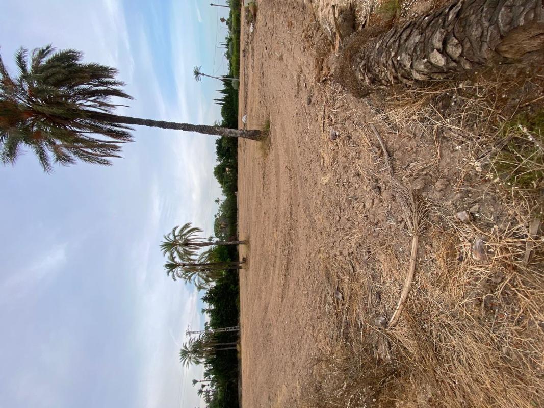 Terreno en venta en Elche / Elx, Alicante photo 1