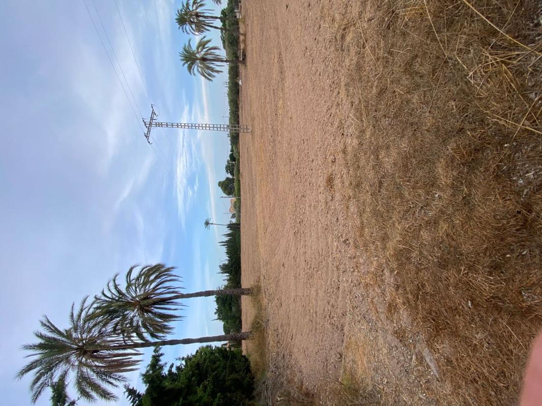 Terreno en venta en Elche / Elx, Alicante photo 2