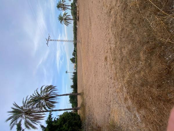 Terreno en Camino del Corretger, km 1, Alzabares, Elche / Elx photo 2