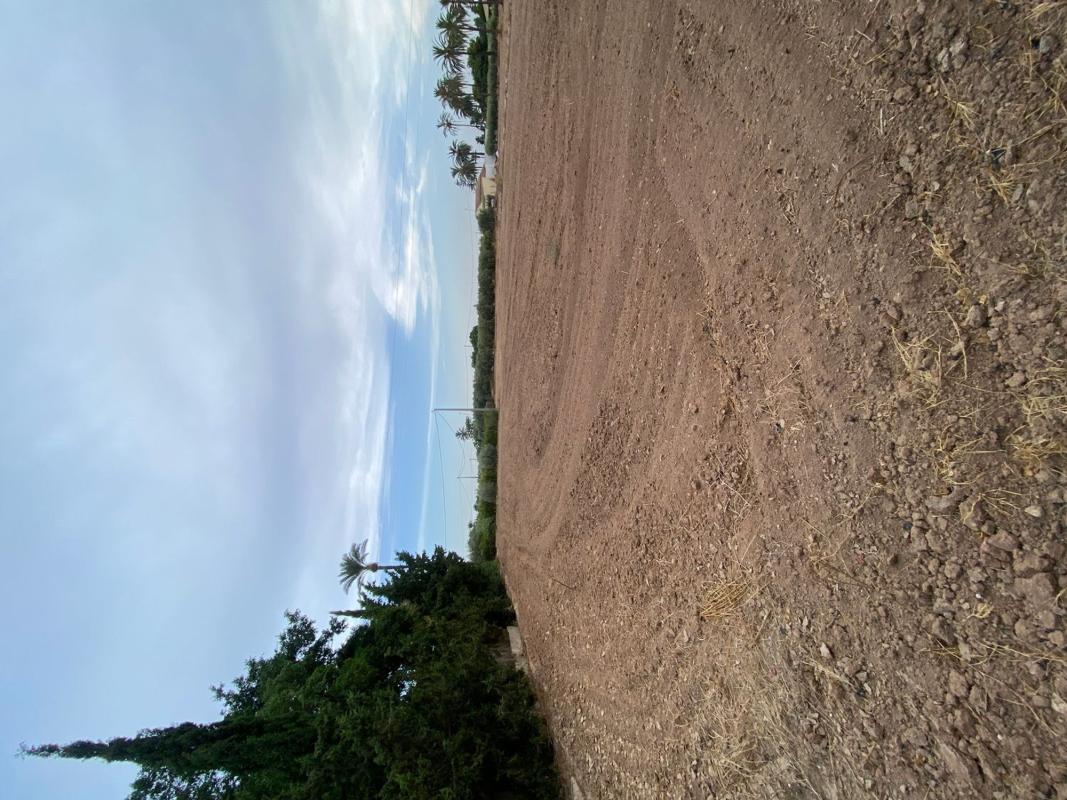Terreno en venta en Elche / Elx, Alicante photo 5