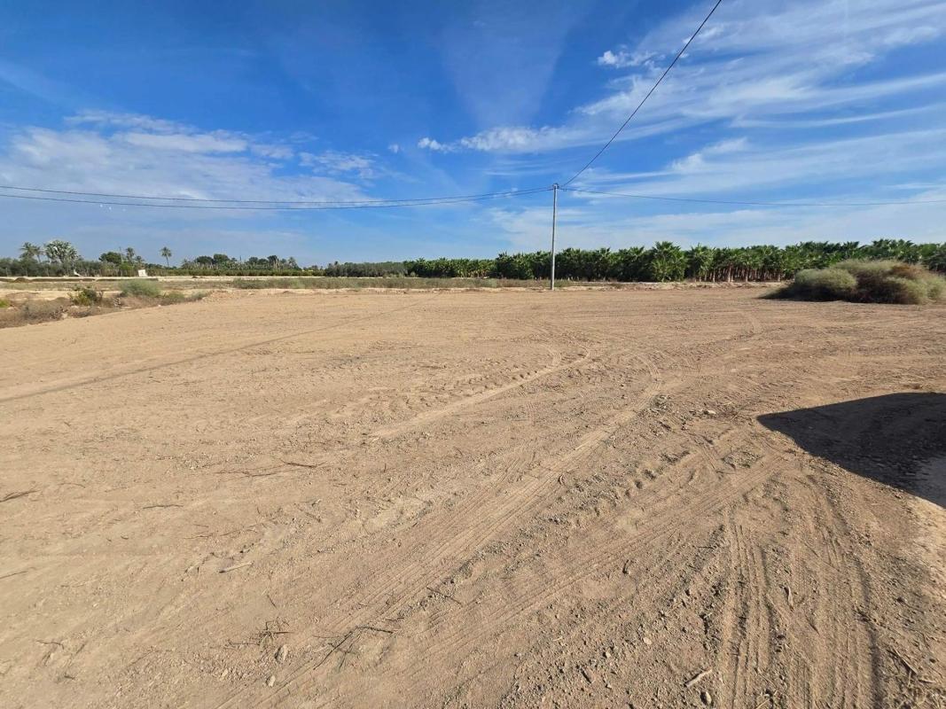 Land for sale in Elche / Elx, Alicante photo 1