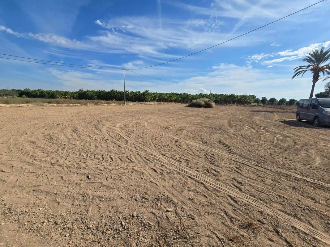 Land for sale in Elche / Elx, Alicante photo 3