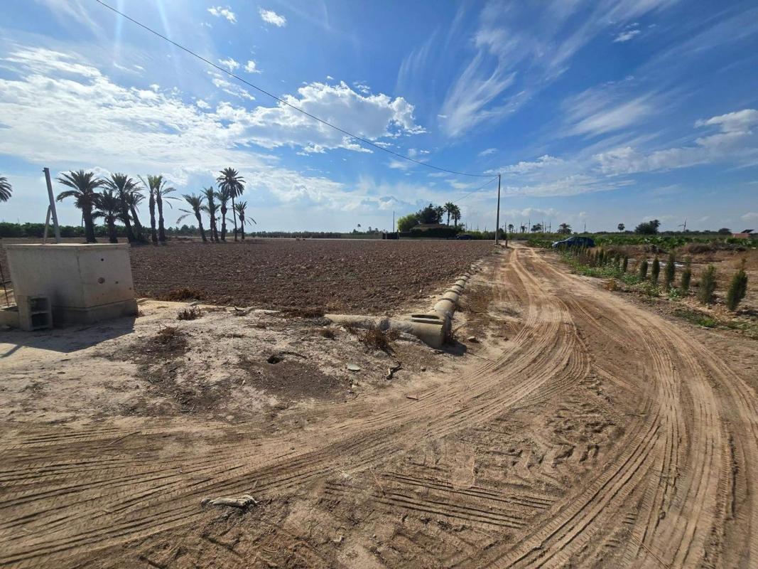 Land for sale in Elche / Elx, Alicante photo 4