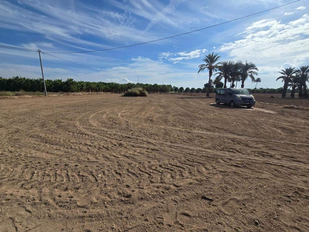 Land for sale in Elche / Elx, Alicante photo 5