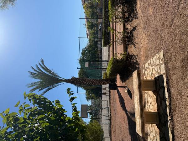 Casa o chalet independiente en Avenida de las Urracas, 1, La Siesta - El Salado - Torreta, Torrevieja thumbnail 2