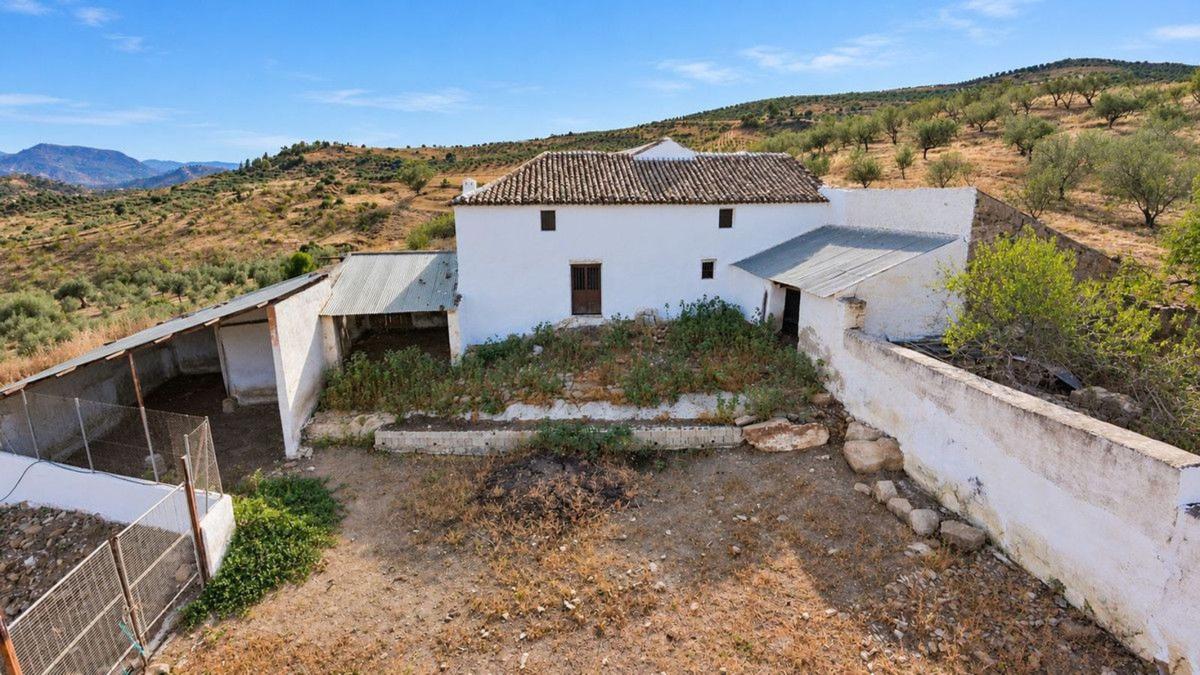 Propiedades en venta y alquiler en España photo 2
