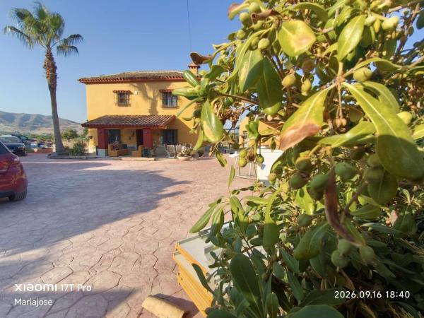 Casa o chalet independiente en El Romeral-Peñón de Zapata, Alhaurín de la Torre photo 1