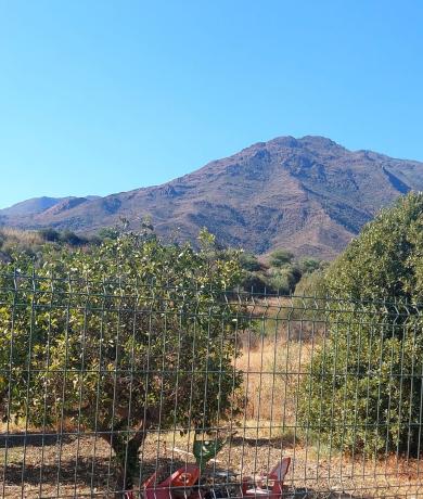 Casa rural en Diseminado Guadalobon, 171, Altos de Estepona, Estepona thumbnail 3