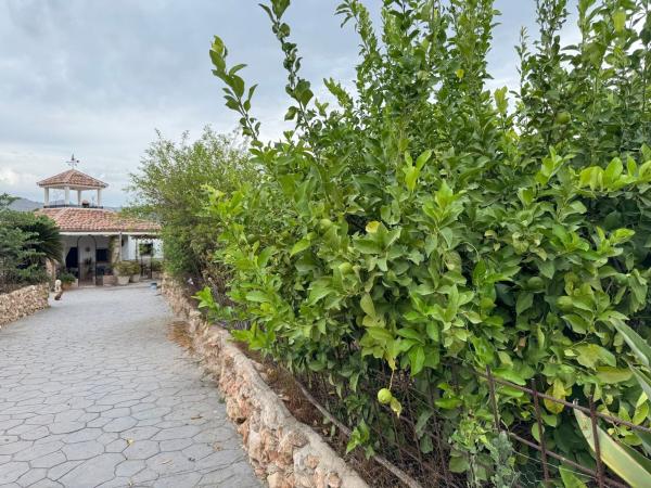 Casa rural en Diseminado No Urbanizable, Alquería-Torrealquería, Alhaurín de la Torre thumbnail 3