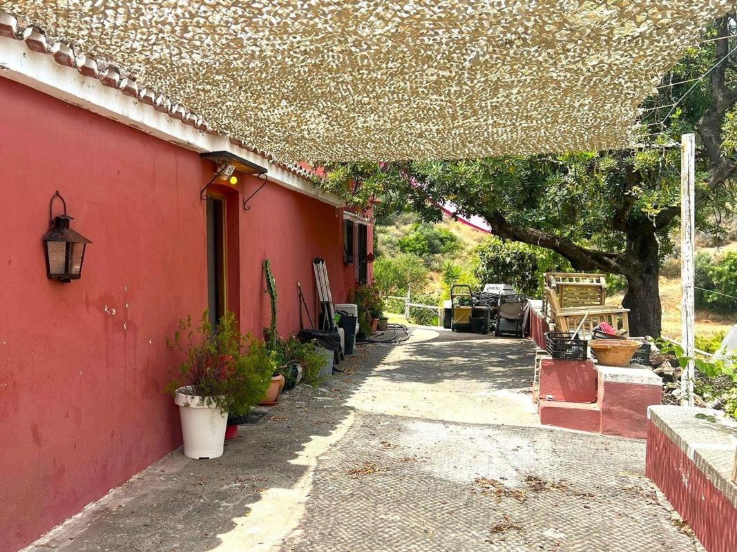 Sale of rural property in  Finca rústica en Camino Bujeo del Culiche, Altos de Estepona, Estepona , Estepona photo 4