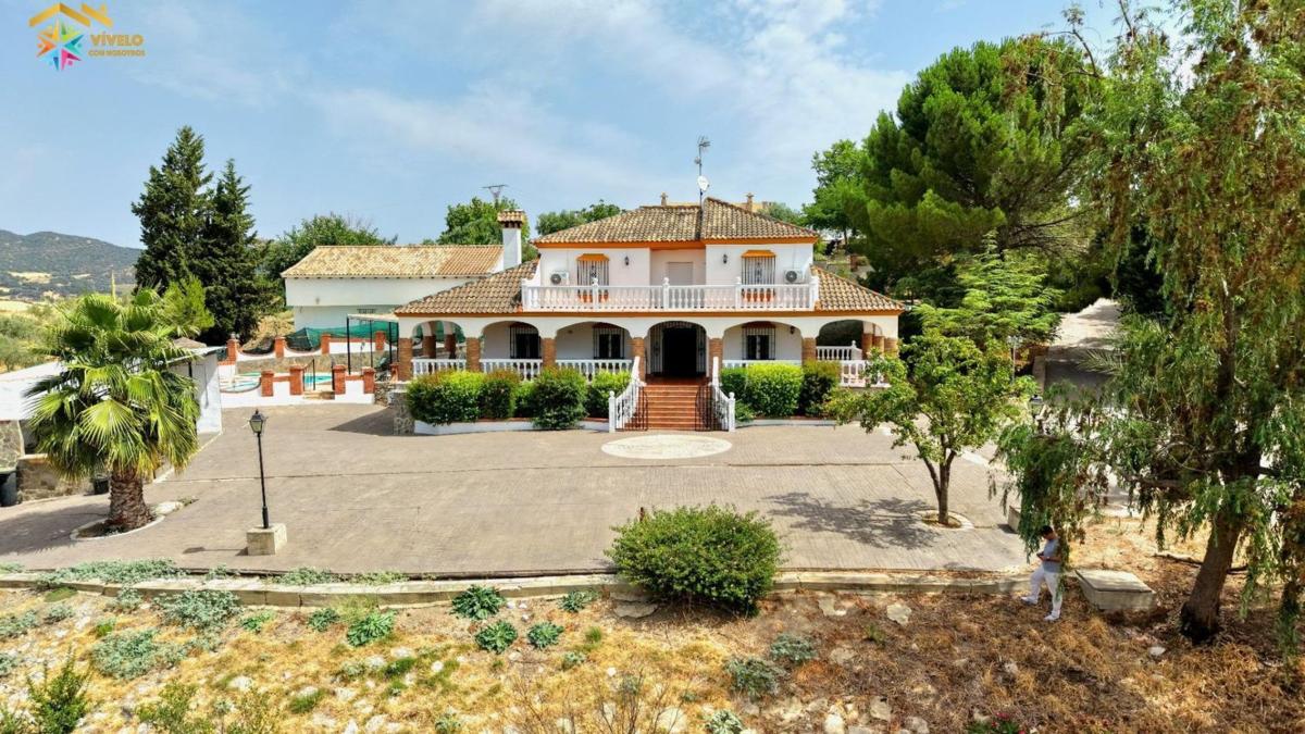 Propiedades en venta y alquiler en España photo 4