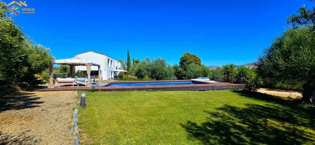 Properties for sale and rent in Spain photo 4