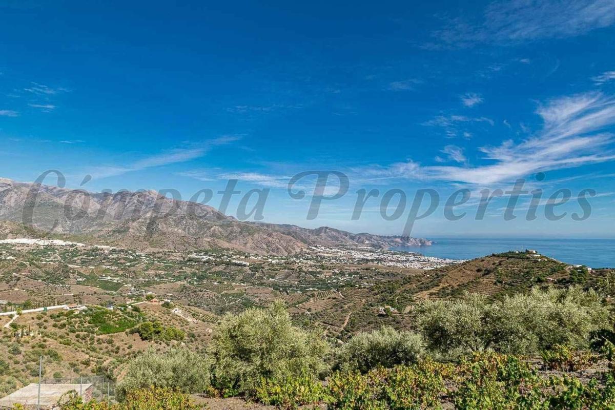 Sale of rural property in Finca rústica en Torrox Pueblo, Torrox , Torrox photo 4