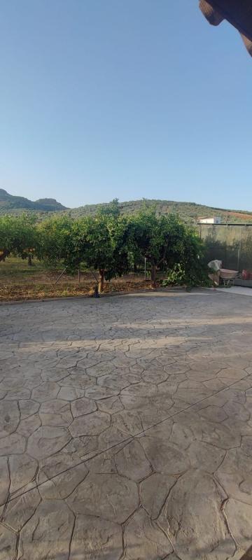 Properties for sale and rent in Spain photo 3