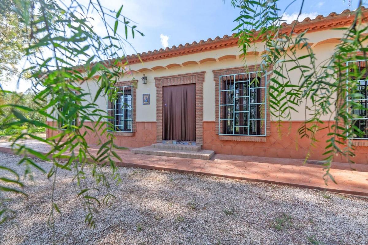 Properties for sale and rent in Spain photo 1