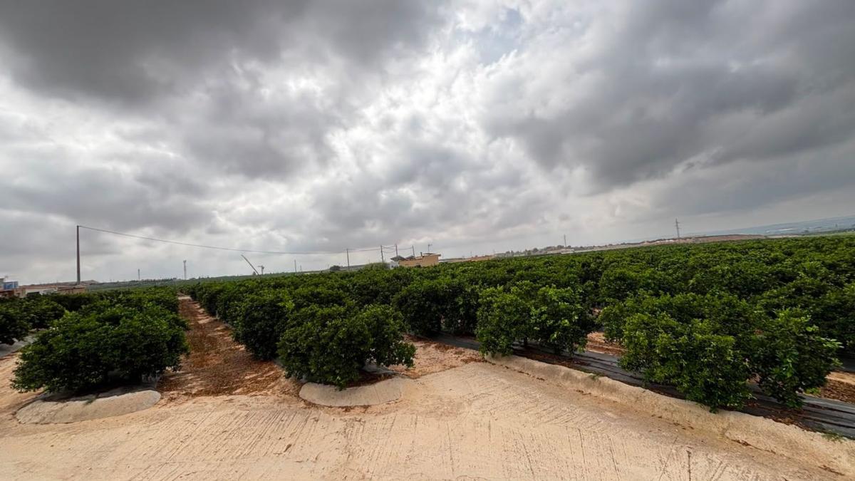 Terreno en venta en Los Montesinos, Alicante photo 4