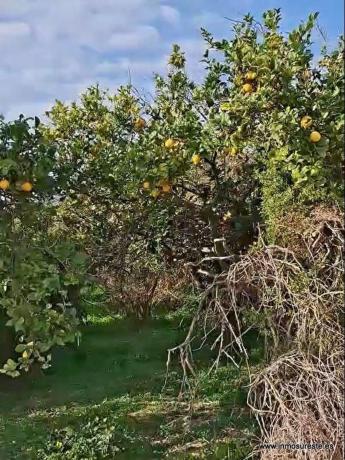 Terreno en Molins-Campaneta-San Bartolomé, Orihuela photo 1