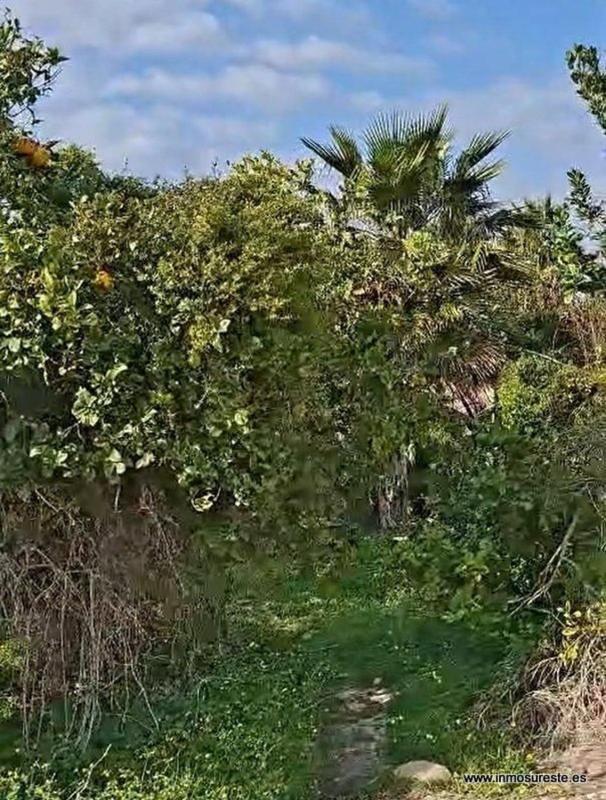 Terreno en venta en Orihuela, Alicante photo 3