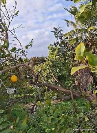 Terreno en Molins-Campaneta-San Bartolomé, Orihuela photo 4