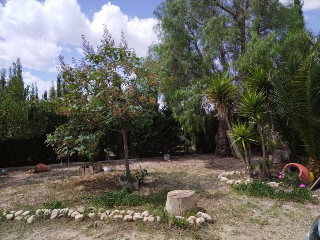 Properties for sale and rent in Spain photo 4