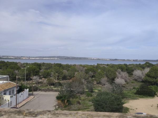Studium na sprzedaż w Piso en robleda, 4, La Siesta - El Salado - Torreta, Torrevieja, Torrevieja thumbnail 2