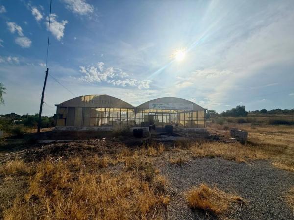 Terreno en Peña las Aguilas, Peña de Las Águilas, Elche / Elx photo 2