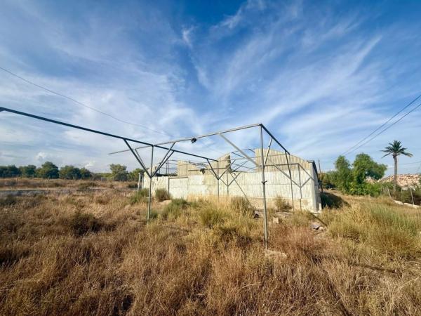 Terreno en Peña las Aguilas, Peña de Las Águilas, Elche / Elx photo 4