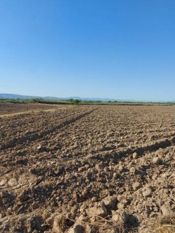 Terreno en Camino del Hondo, 66, Catral photo 4