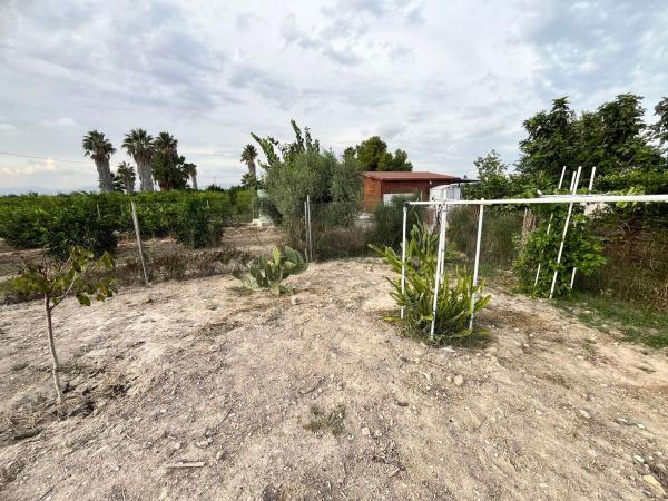 Terreno en Partida Puente Don Pedro, 37, Almoradí photo 1