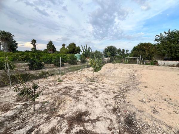 Terreno en Partida Puente Don Pedro, 37, Almoradí thumbnail 3
