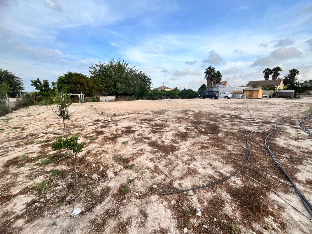 Terreno en venta en Almoradí, Alicante photo 4