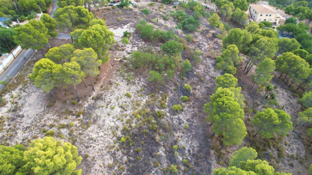 Land for sale in Altea, Alicante photo 5