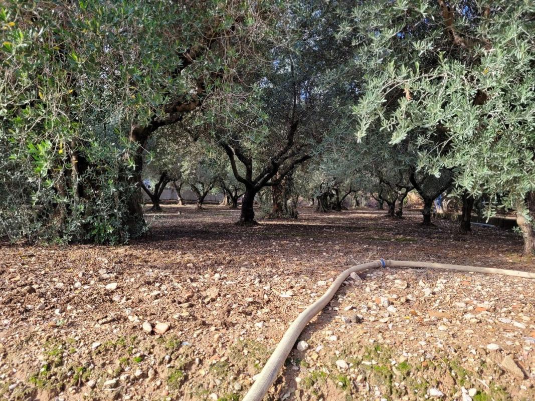 Properties for sale and rent in Spain photo 5