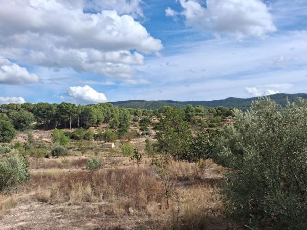 Terreno en Paseo dels Geladors, 1 a, Ibi photo 4